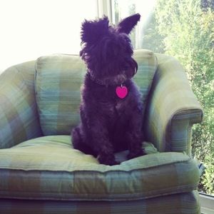 Meet your Posher, Mallory